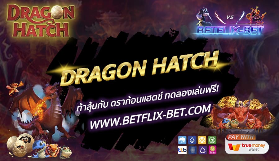 BETFLIX-BET-บทความ1-12