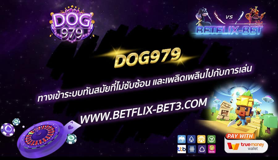 DOG979-ทางเข้าระบบทันสมัยที่ไม่ซับซ้อน-และเพลิดเพลินไปกับการเล่น
